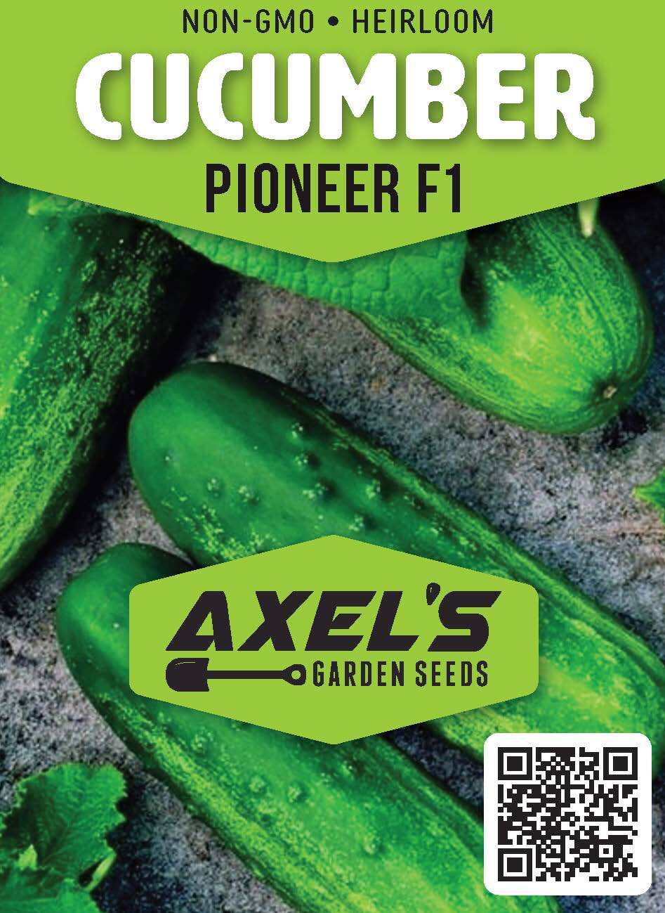 Pioneer F1 Cucumber Seeds | NON-GMO | Heirloom | Fresh Garden Seeds