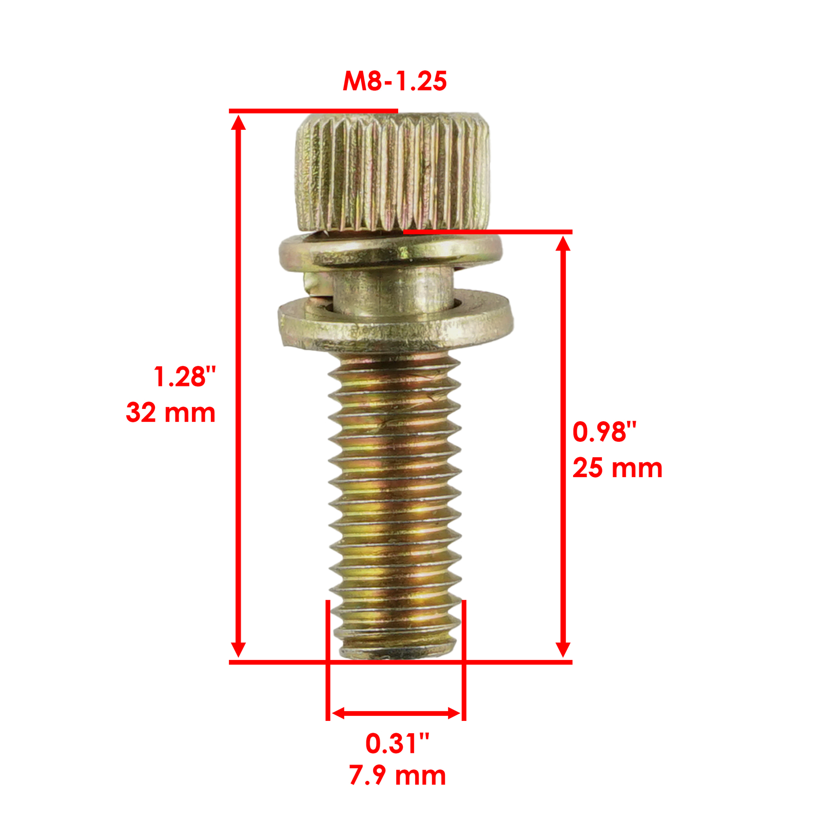 Caltric Exhaust Muffler & Pipe w/ Gasket Kit For Polaris RZR S 800 EFI 2009-2012
