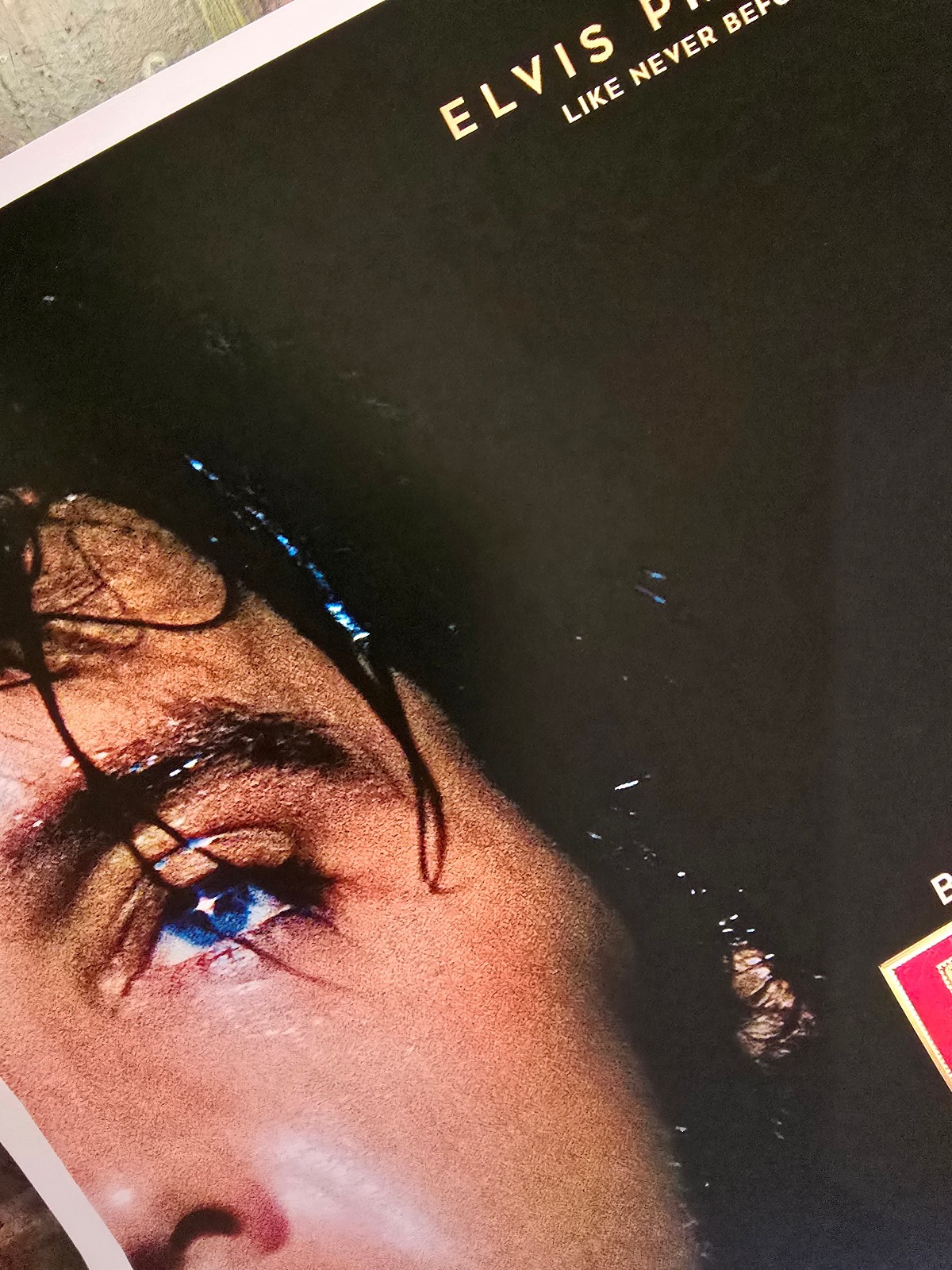 Epic Elvis Presley in Concert 11" X 14.5" Collector's Poster