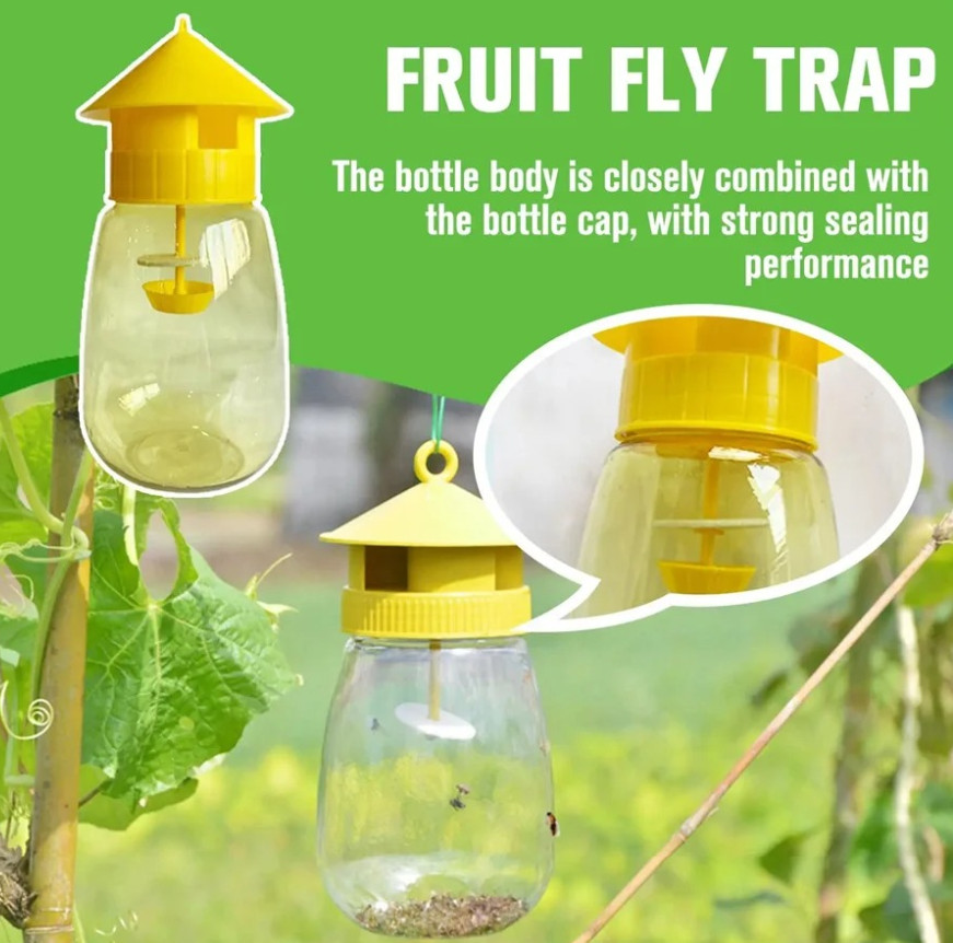 3pcs Fruit Fly & Insect Trap – Outdoor Plastic Hanging Drosophila Killer - NEW