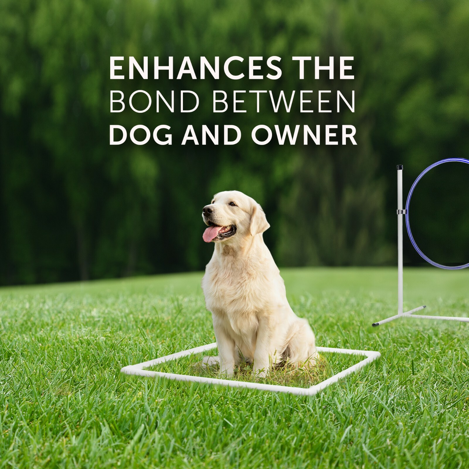 Better Sporting Dogs Deluxe Agility Equipment Set 7 Piece Set