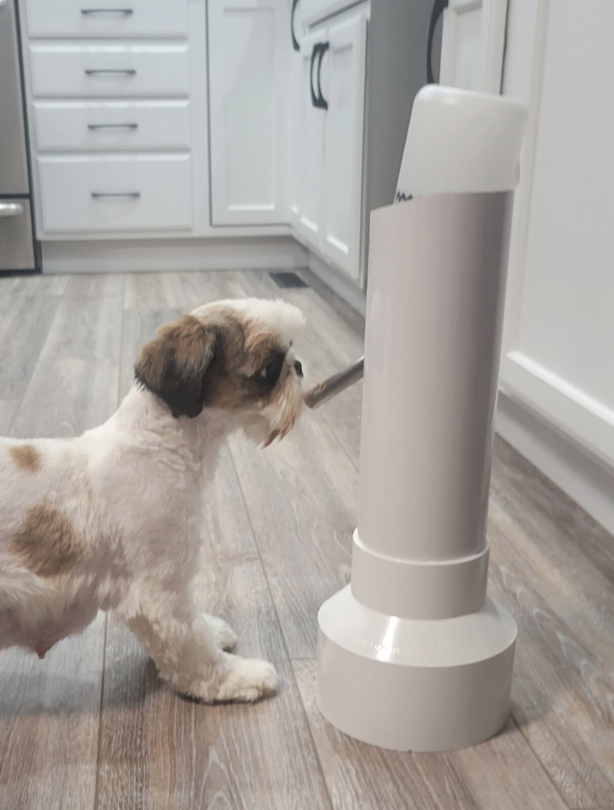 Portable Free Standing Pet feeding Water Bottle Dispenser Puppies Dog Shih Tzu