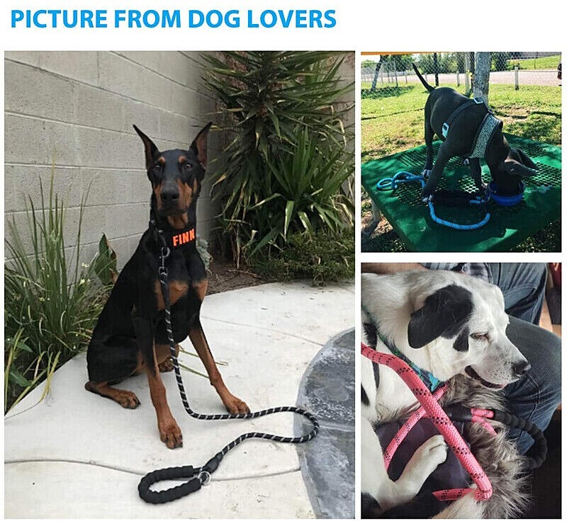 Dog Harness & Training Leash No Pull Control Adjustable Large Handle Heavy Duty