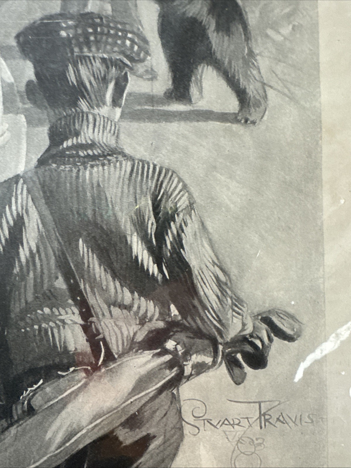 FREE SHIP! 1903 Stuart Travis "The Bear's Triumph" Illustration on Board