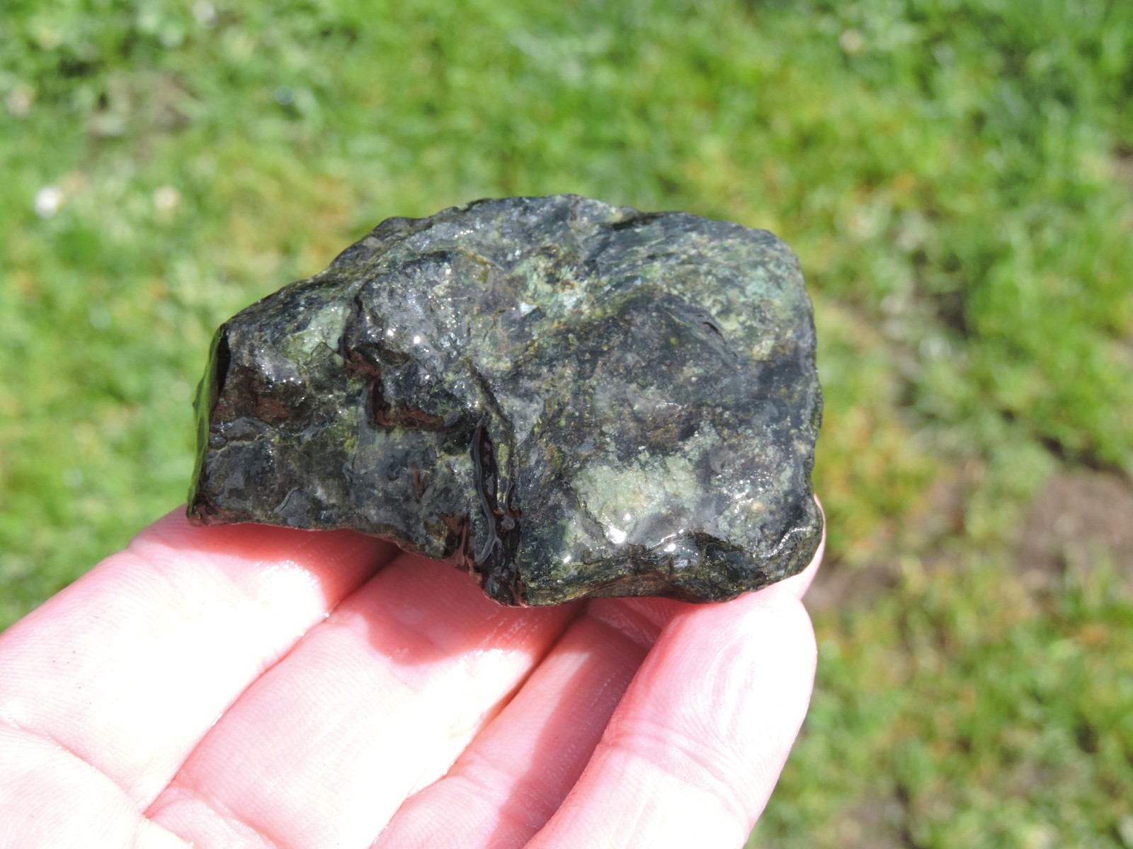 OREGON DARK GREEN SERPENTINE Rough Stones. *MAGNETIC* 100% Natural (8 lb)