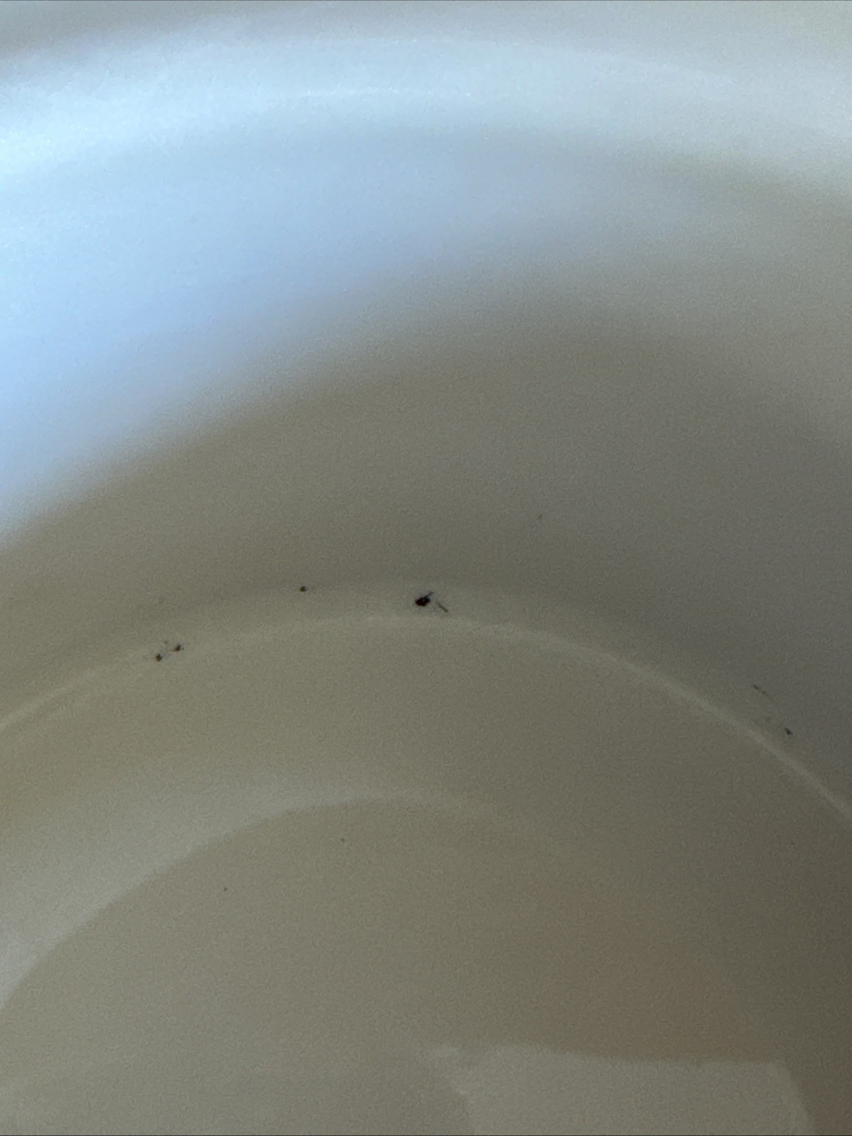 Vintage 1988 Country Hearts Electric Potpourri Crock By Rival Tested Works