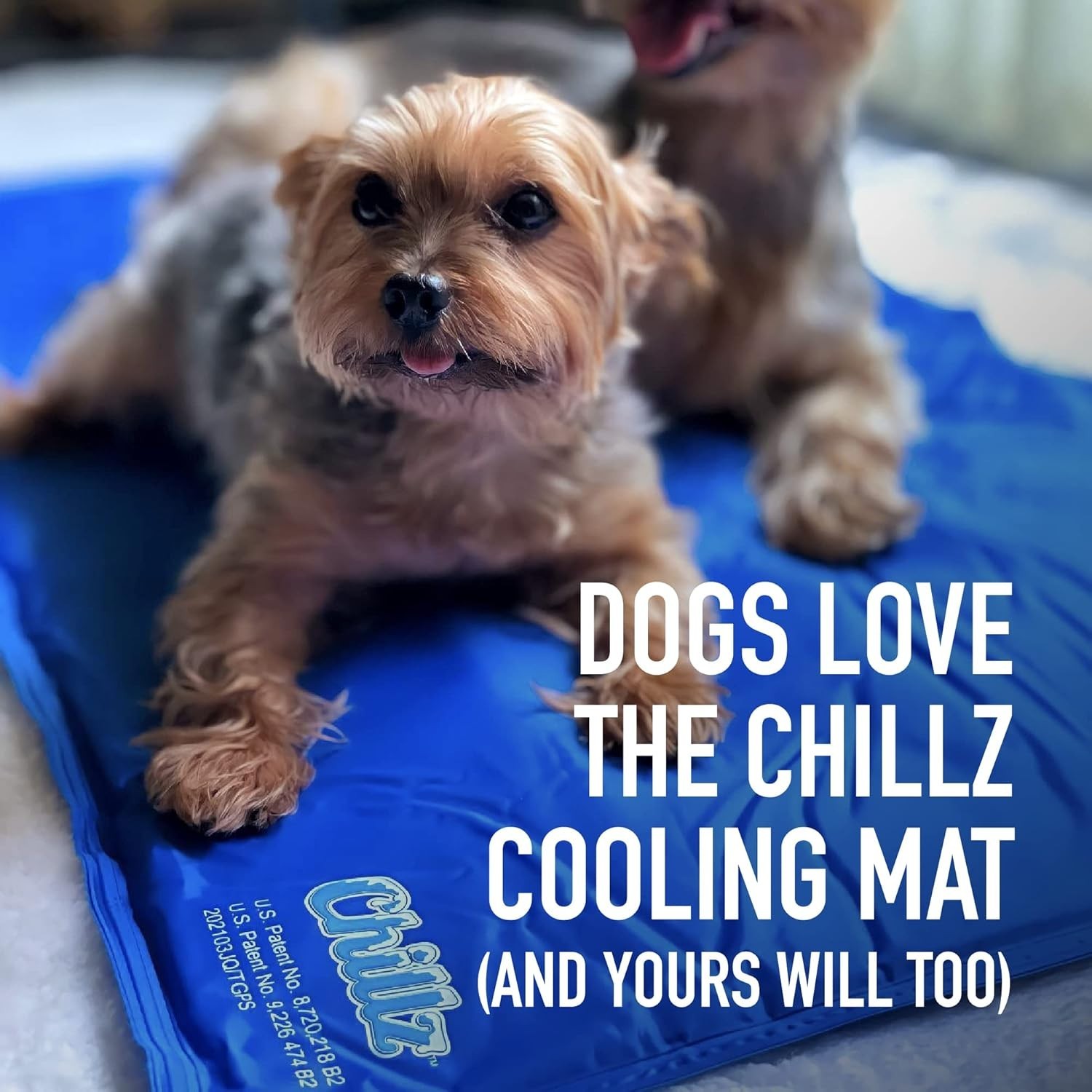 The Green Pet Shop Chillz Gel Mat, Extra Large - Pressure-Activated Cooling Pad