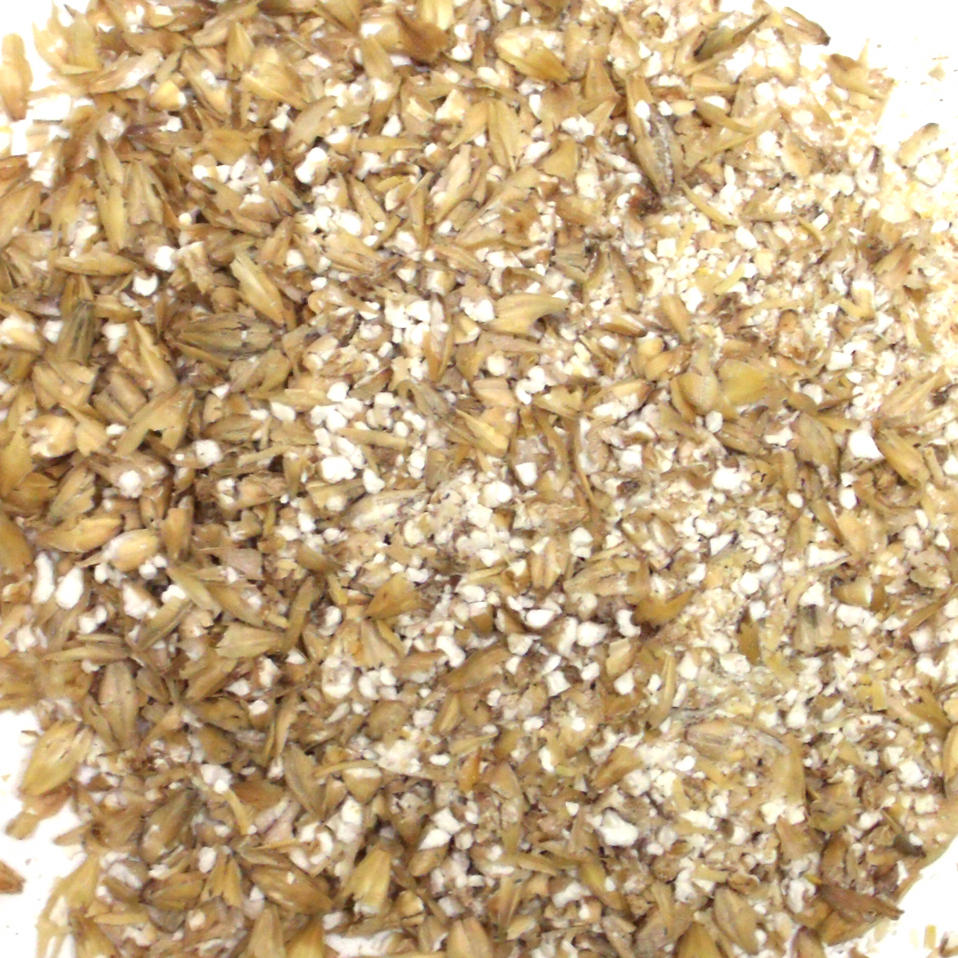 10 lbs 2 Row Brewer's Malted Barley - Crushed or Whole