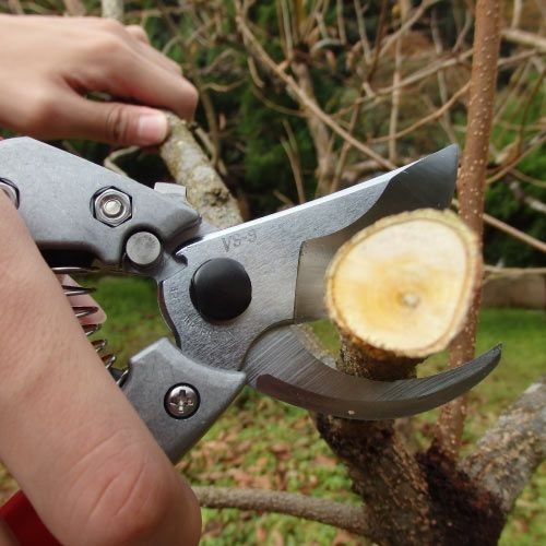 ARS VS-9Z Bonsai Pruning Shears 9in Heavy Duty Garden Pruner Japan
