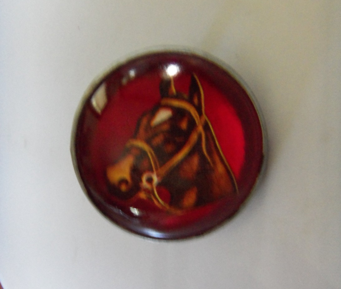 Vintage Glass Domed HORSE BRIDLE ROSETTES Equestrian Decorative Chapman MINN