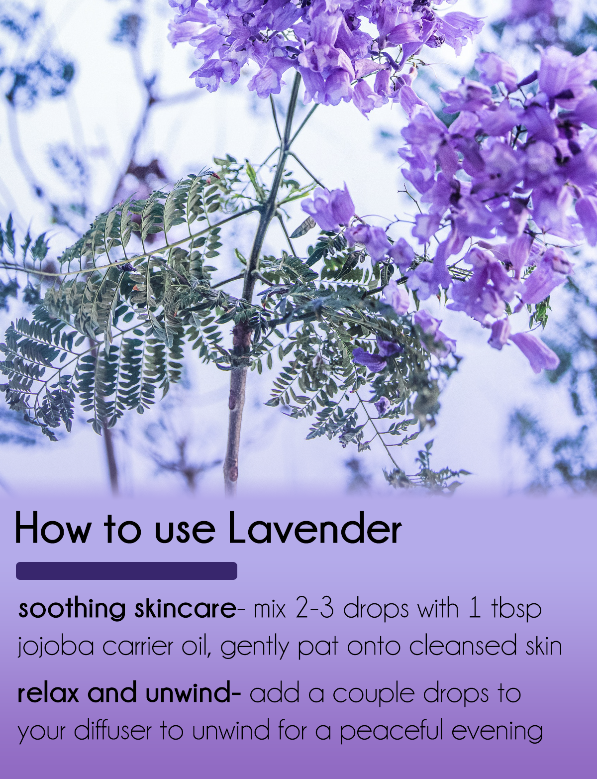 Huge BULK 8 fl oz Lavender Essential Oil by GreenHealth