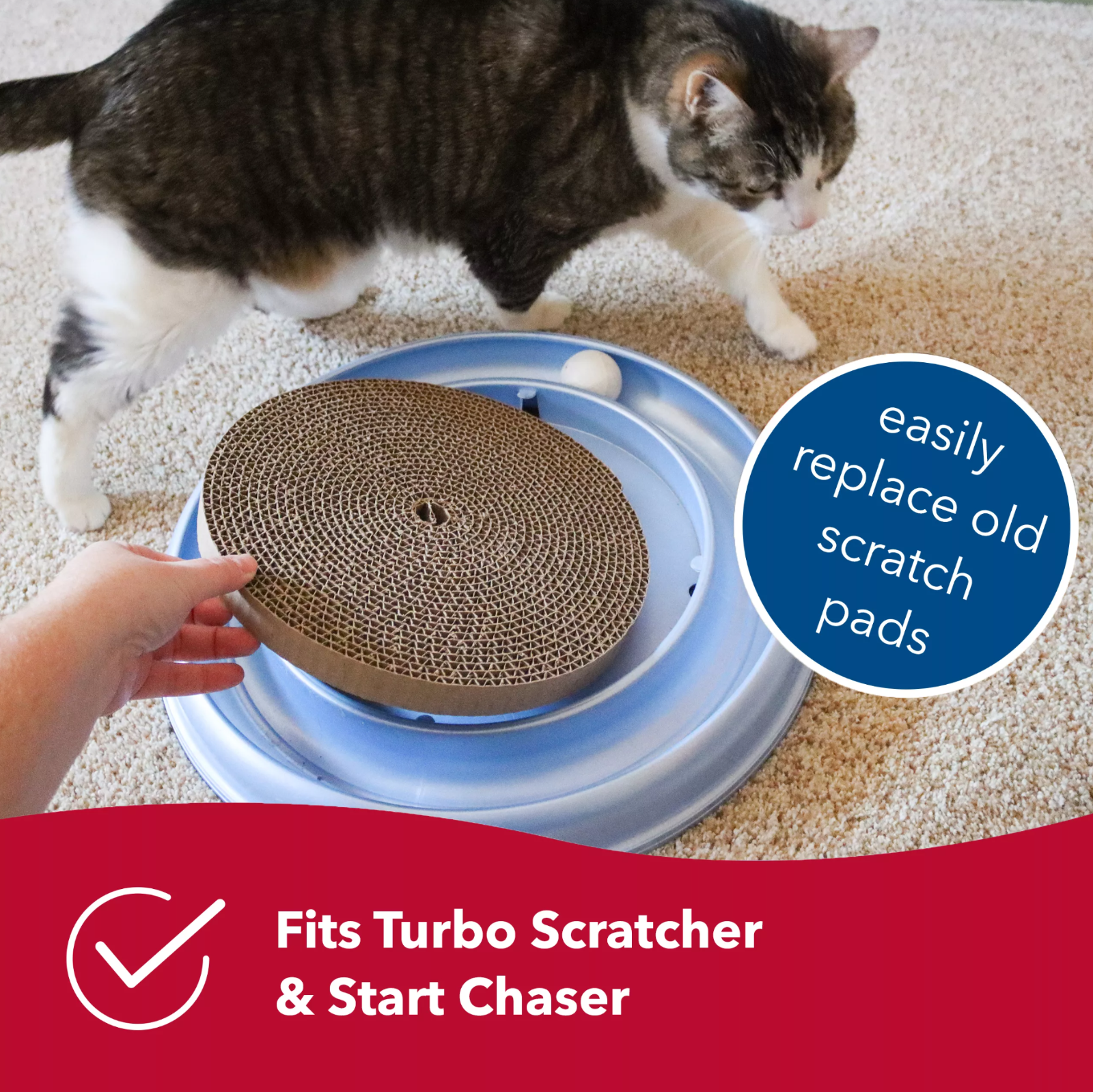 3 pk Replacement Scratch Pads for Bergan Turbo Scratcher & Star Chaser Cat Toys