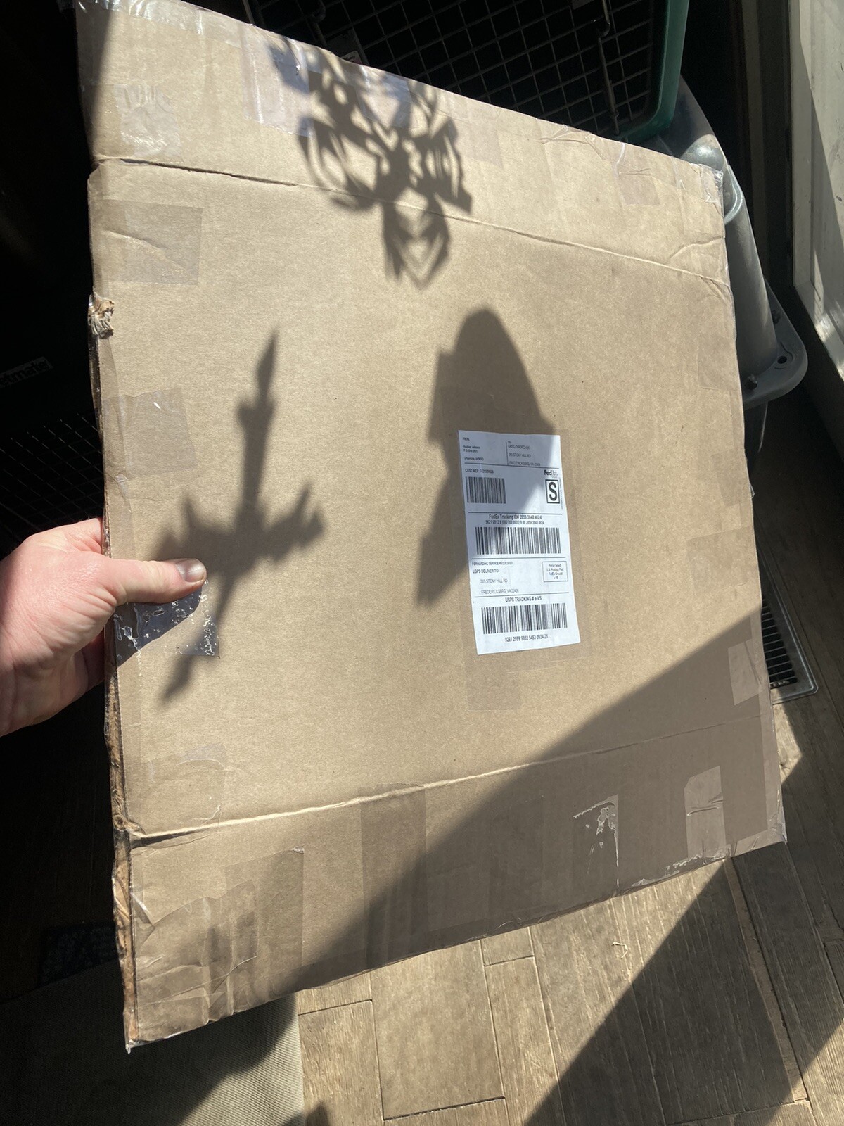 Rooster RINGNECK PHEASANT SKIN 2 Wings Tail Feathers Wall Art Taxidermy Man Cave