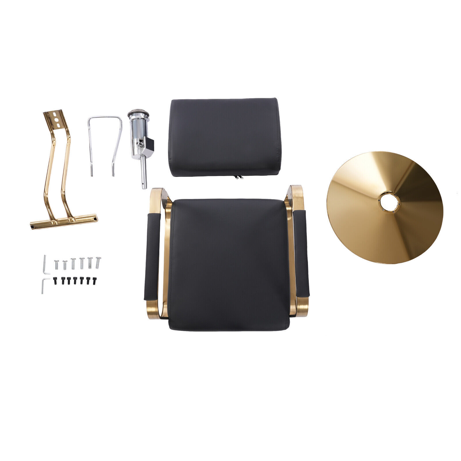 Beauty Salon Chair Barber Chair for Hair Stylist with Hydraulic Pump & Footrest