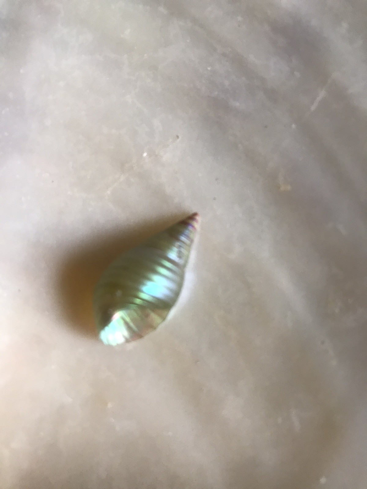 A BOX OF 20 KING MAIREENER SHELLS