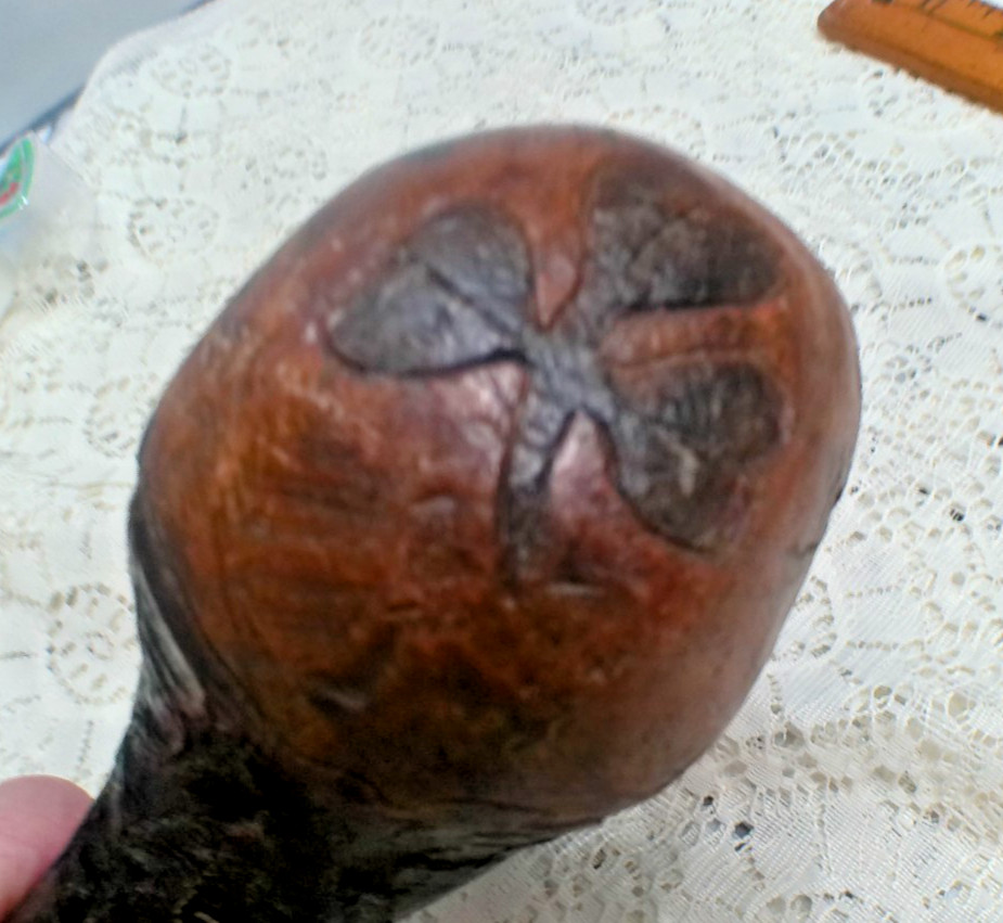 Antique 1700s ROOT MALLET INCREDIBLE FORM Sculptural Primitive Weapon Tool