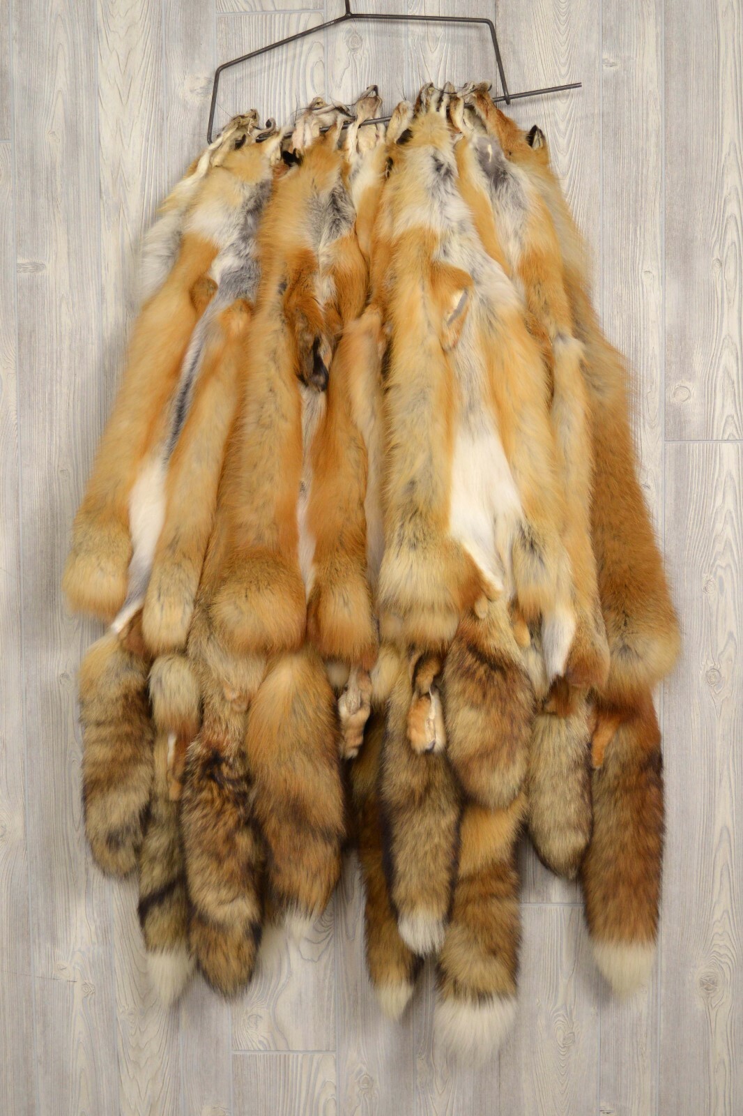 Tanned Red Fox Winter “Heavy Fur” Western Extra Large Premo (rfwhpremo)