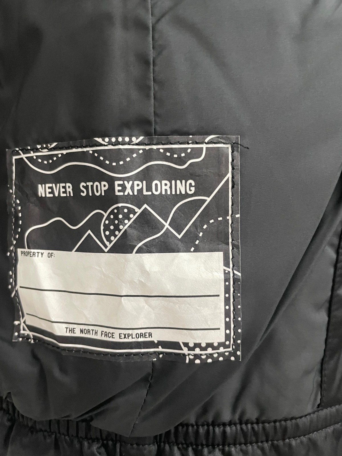 The North Face Girl Gotham 2.0 Goose Down Puffer Jacket Hoodie Fur Black M 10/12