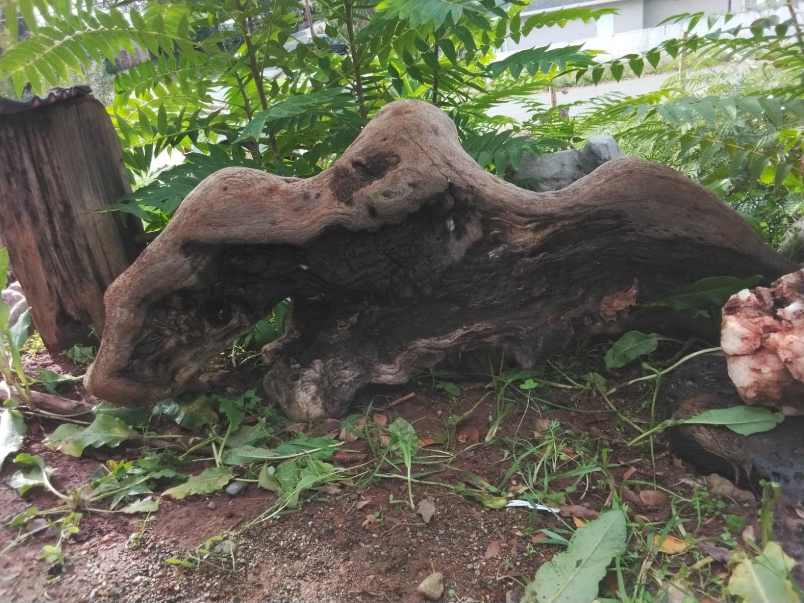 DrRIFTWOOD, LANDSCAPING, ART, AMAZING