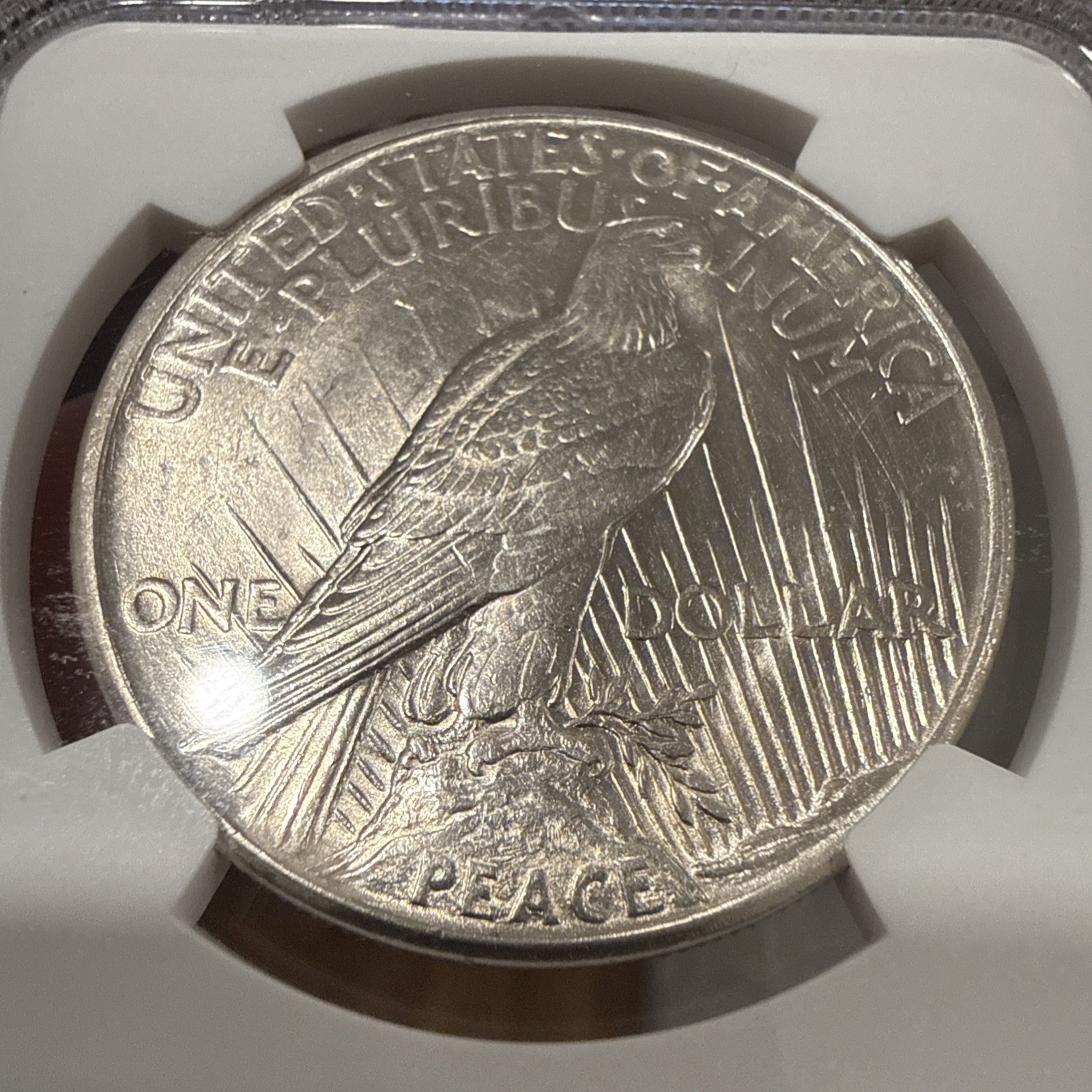 1921 PEACE DOLLAR HIGH RELIEF NGC MS 62 BRIGHT WHITE