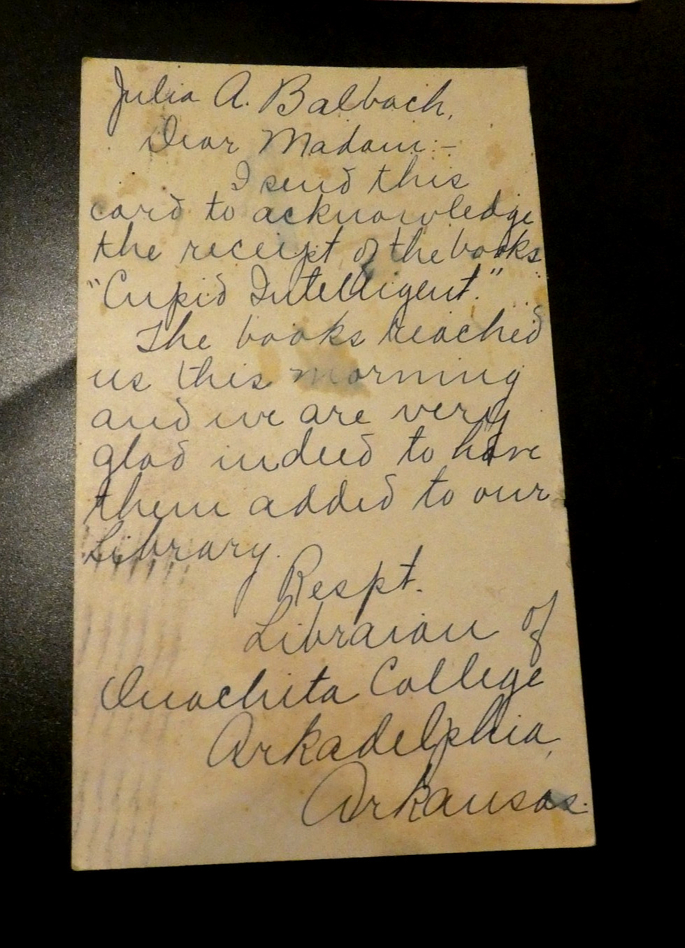 Cupid Intelligent Julia Anna Nenninger Balbach Correspondence letters