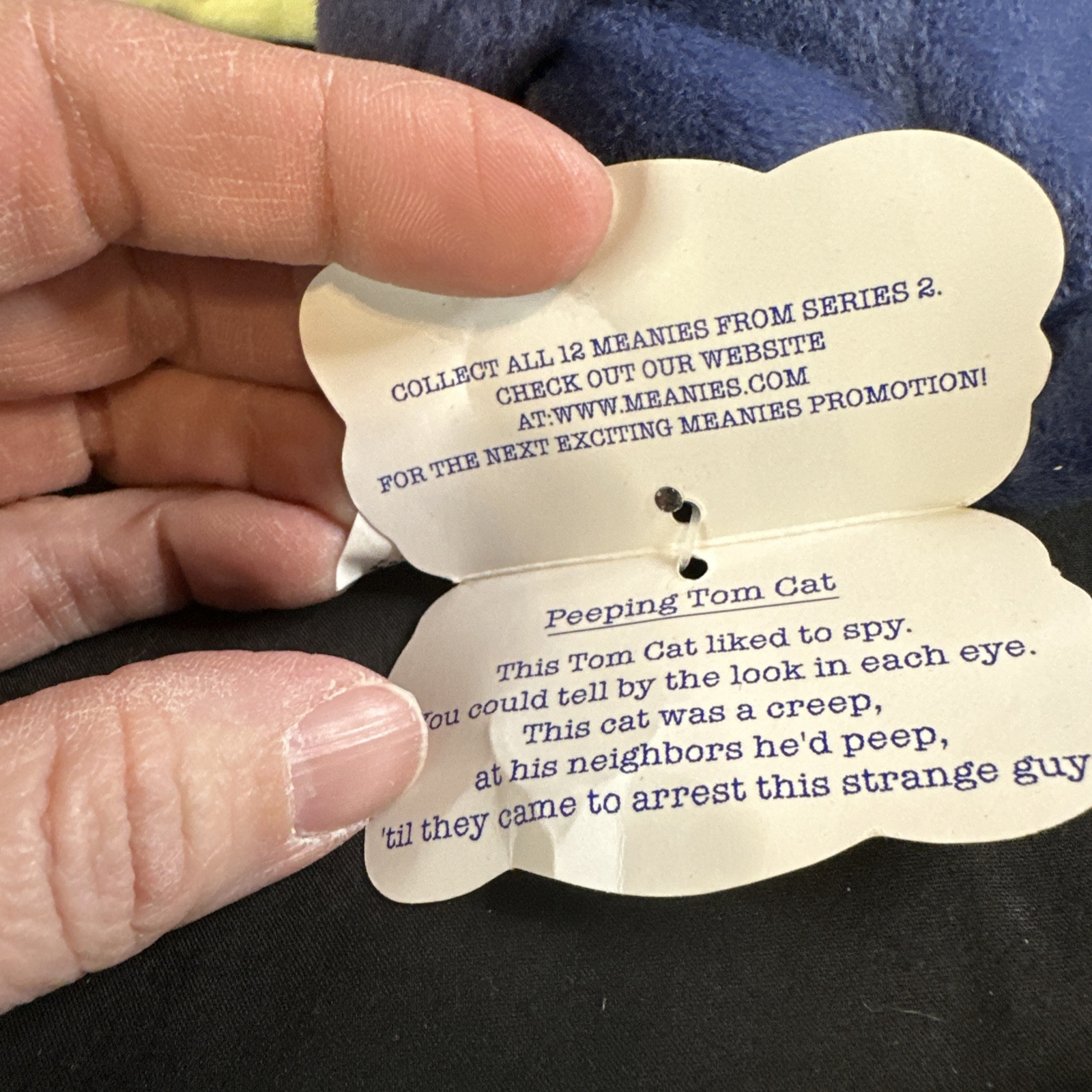 Lot of Five Vintage 1998 Meanies beanbag plush The Idea Factory Series 2!