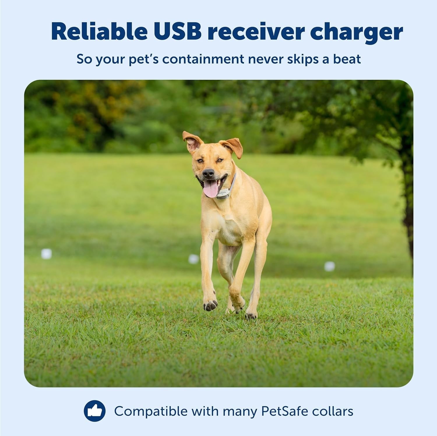 PetSafe Receiver Charger - Fast Charging Collar Cable - USB Charging Cord for Wi