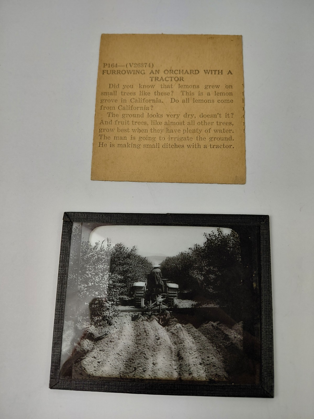 Magic Lantern Glass Slide Photo Keystone P164 Furrowing An Orchard w a Tractor