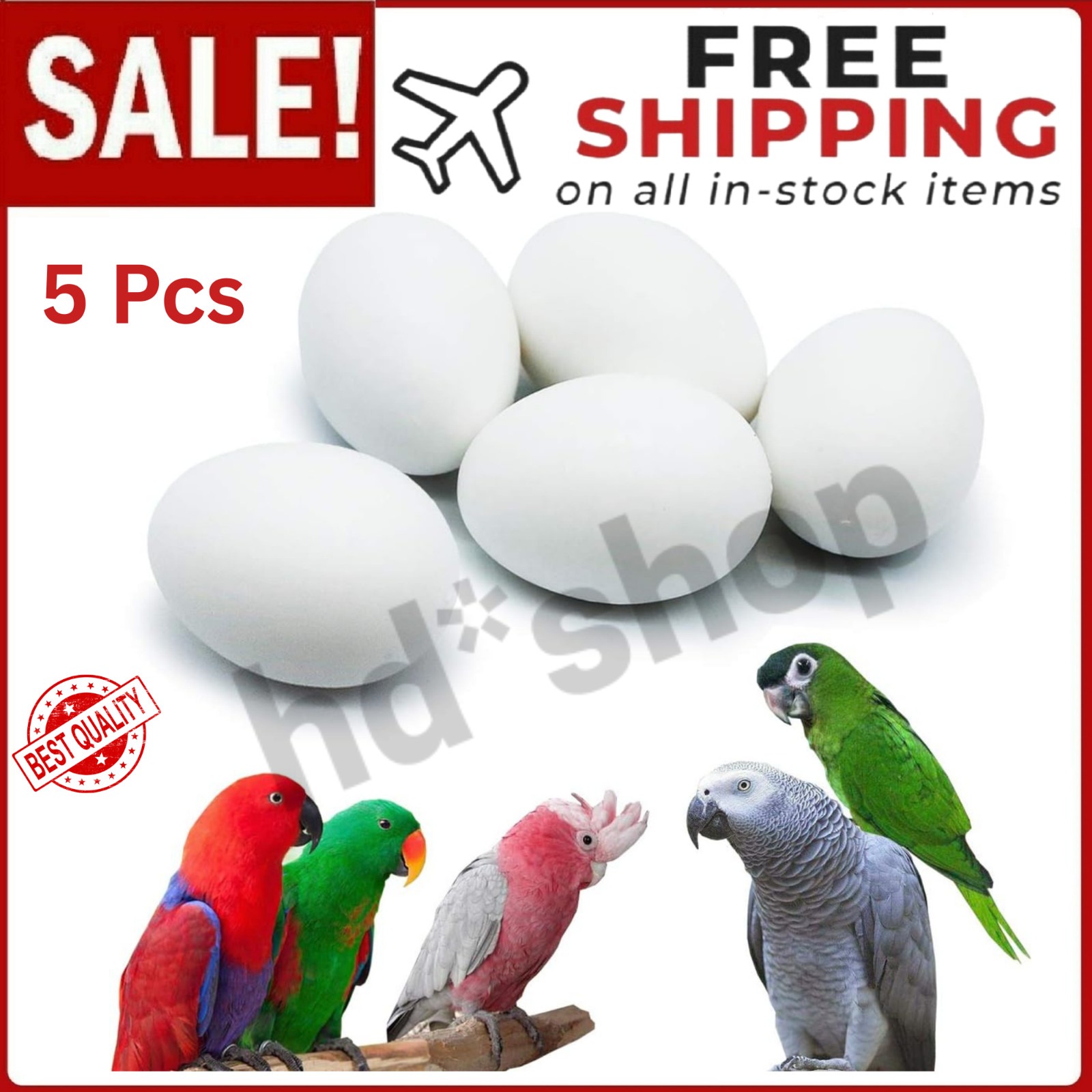 5 Pcs Hatching Eggs for Parrots, Macaws, Cockatoos, and Eclectus-37mm x 27mm