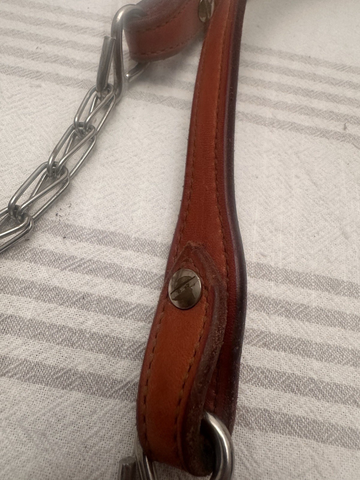 Vintage Champion Turf & Reins, Bridle leather Southwestern Style Silver Accent