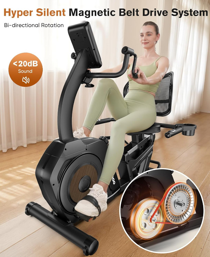 Magnetic Recumbent Exercise Bike, Stationary Bikes for Home with Arm Exerciser