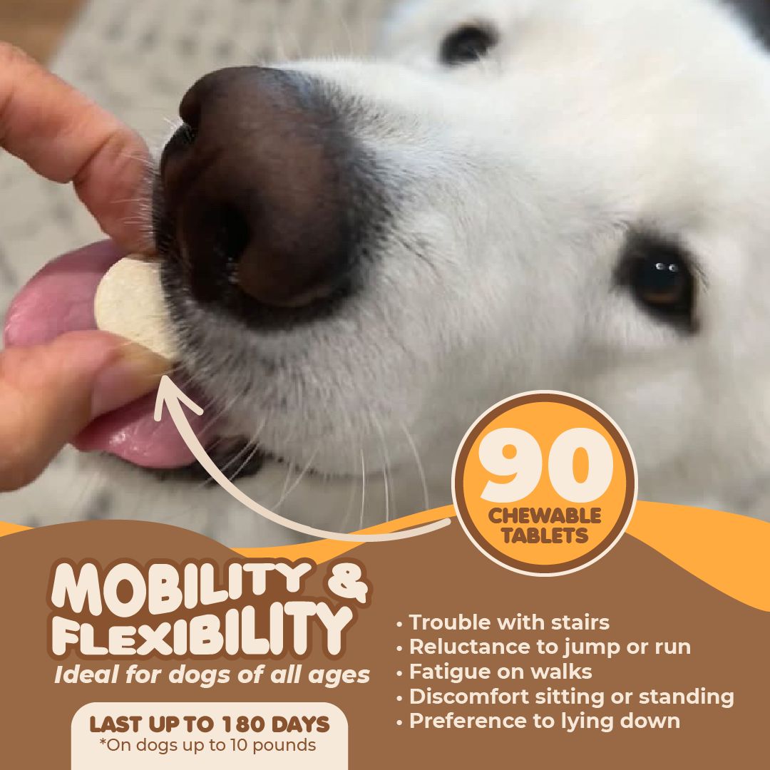 Hip and Joint Supplement for Dogs-Turmeric, Glucosamine. Dog Pain Relief 90 Tabs