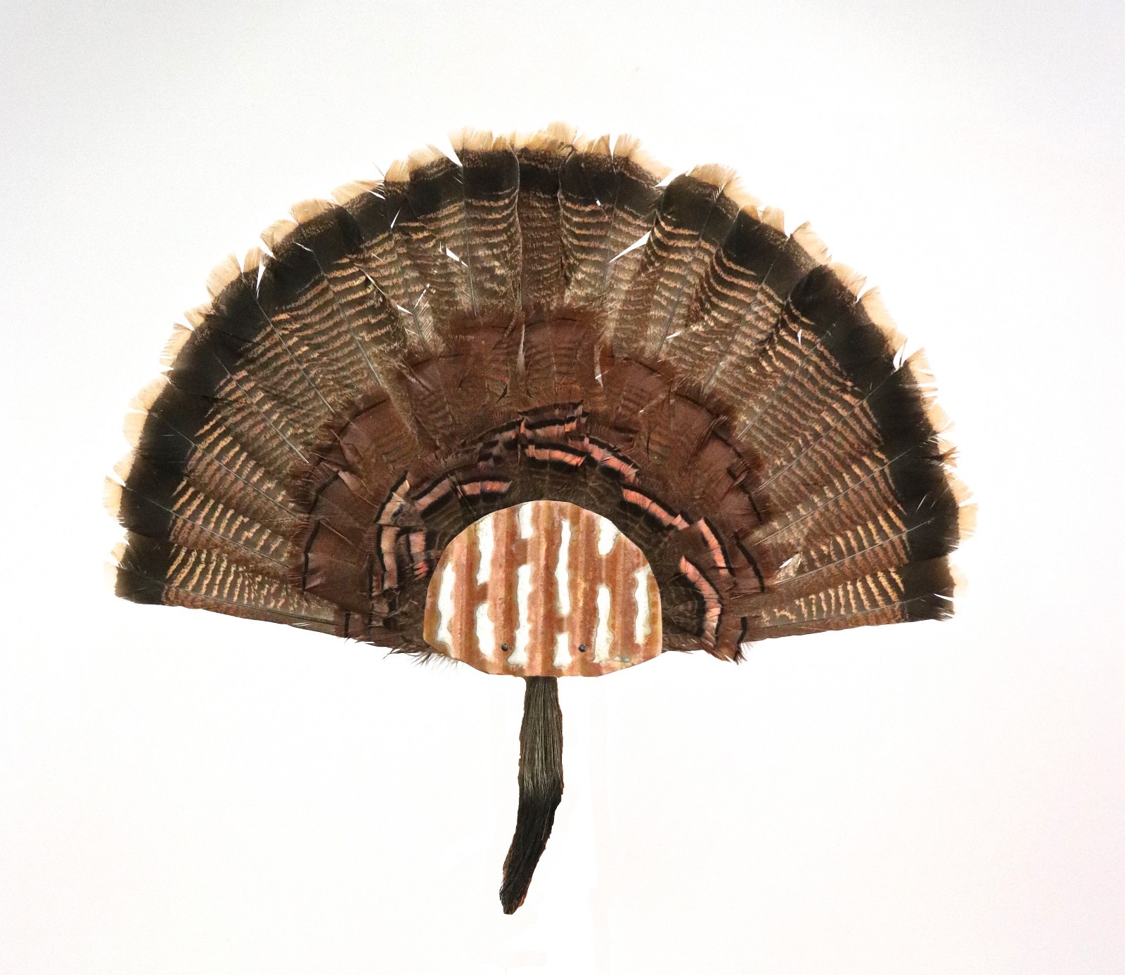 Turkey Fan Mounting Kit. Multiple Fan Display System 4 Fan System Rustic Tin