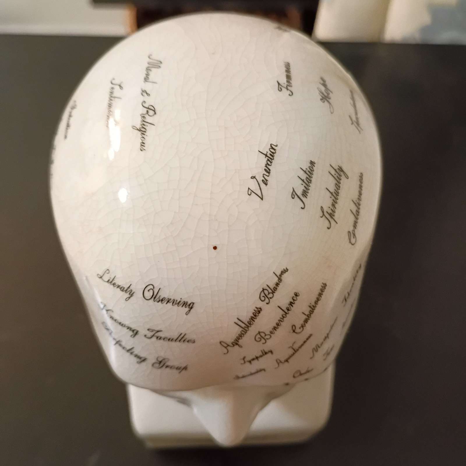 Porcelain L.N. Fowler Phrenology Scientific Psychology 8” Bust Head