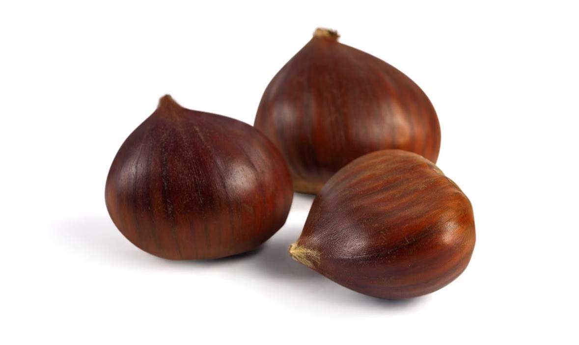 Fresh Chestnuts 5 lbs - European Nuts Roasting - Michigan Grown 2025