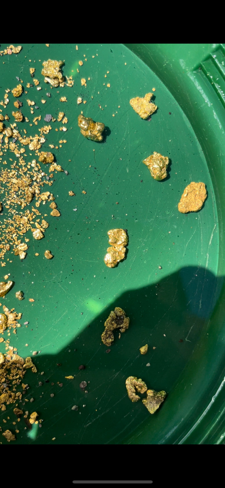 GOLD Paydirt Guaranteed Unsearched Rich with black sand + Added Gold concentrate