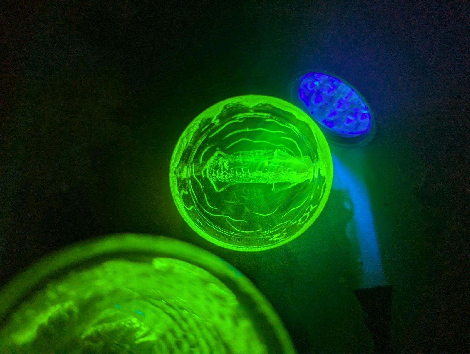 Summit Glass Pisello Dolphin Fish Whale Salt Cellar w_Lid 3.5" Uranium Vaseline