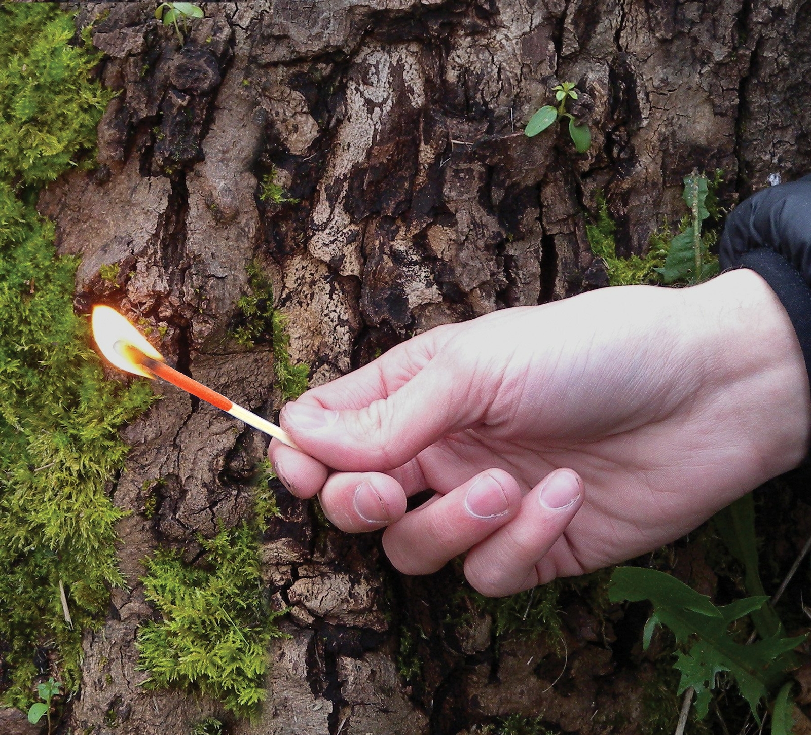 UCO Stormproof Match Kit with Waterproof Case, 25 Stormproof Matches and 3 St...