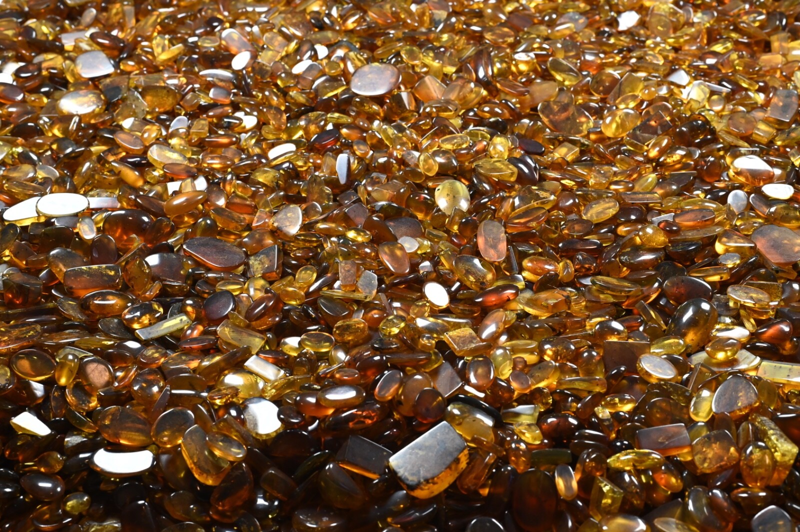 CHOOSE YOUR INSECT - Genuine Burmese Amber Fossil - Price per piece