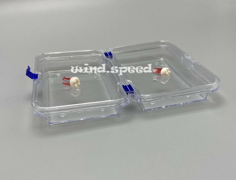 Denture False Inlay Teeth Membrane Case Box Fragile Hinged Display Jewelry Boxes