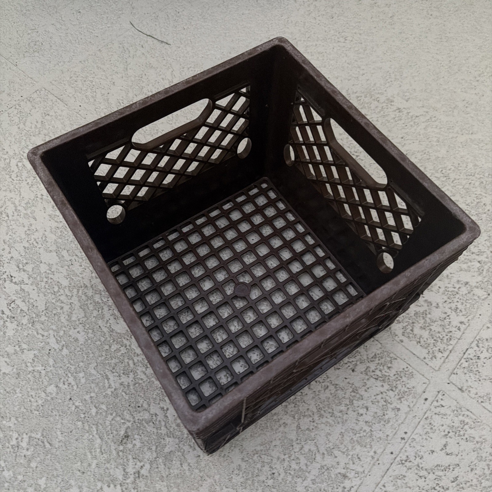 Borden Elsie Cow Logo Dairy Brown Plastic Milk Crate