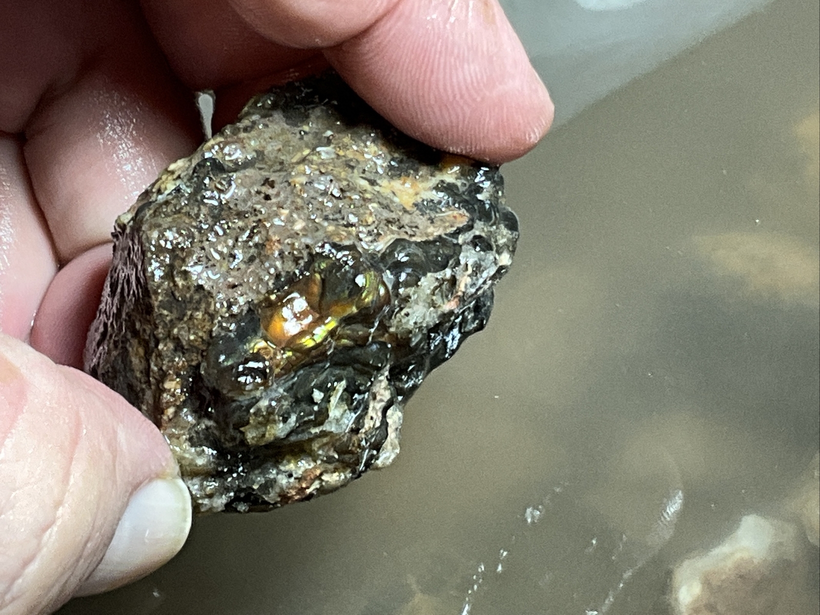 1/4 Pound Fire Agate Choice & Mid Grade Professionally Chosen Colorful Rough Lot