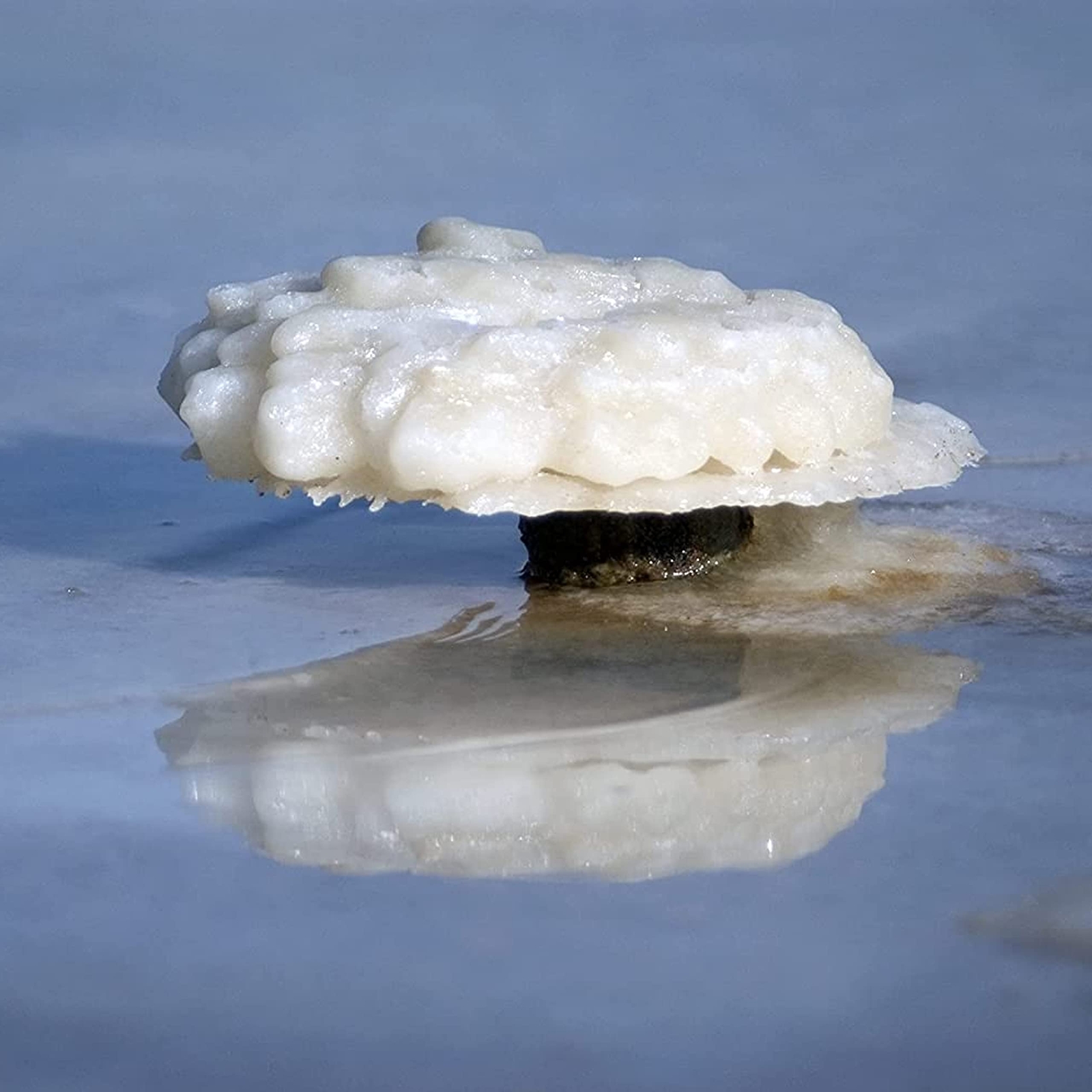 Dead Sea Magnesium Flakes Bath Salts - Superior Alternative To Epsom Salt