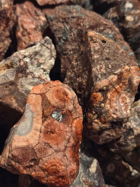 Bird's Eye Rhyolite 1 lb Rough Rocks For Tumbling