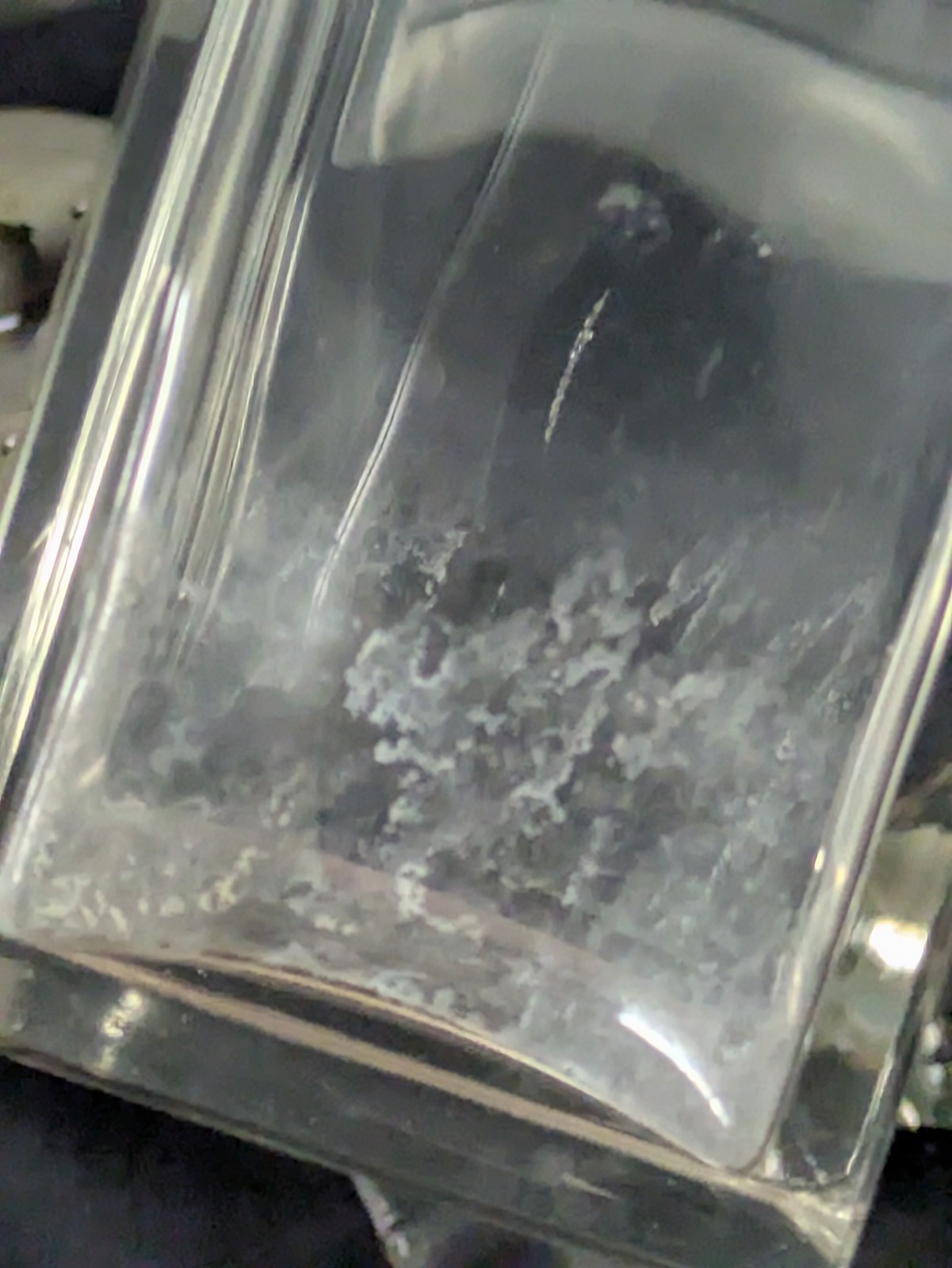 Vintage 6 Bottle Cruet Set with Handles Holder Silver plate Art Deco Condiments