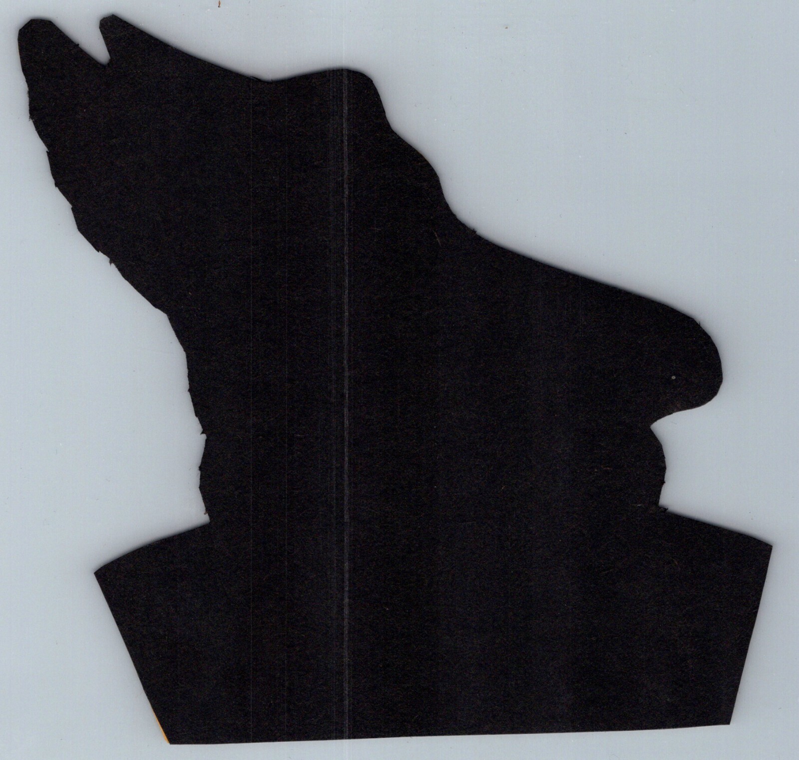 1940s Hackensack Arena Roller Skating Rink First Atlantic Street New Jersey