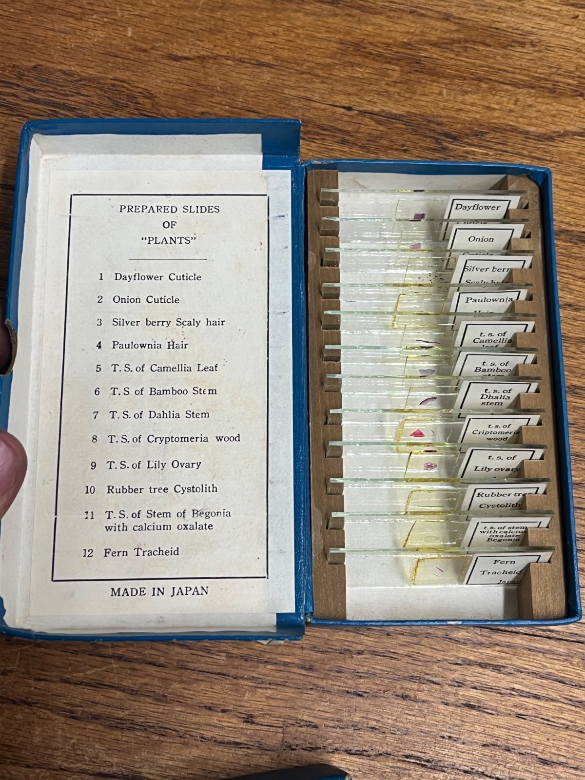 Vintage Tasco Microscope Slides Scientific Homeschool Lot Animals Plants Fibres