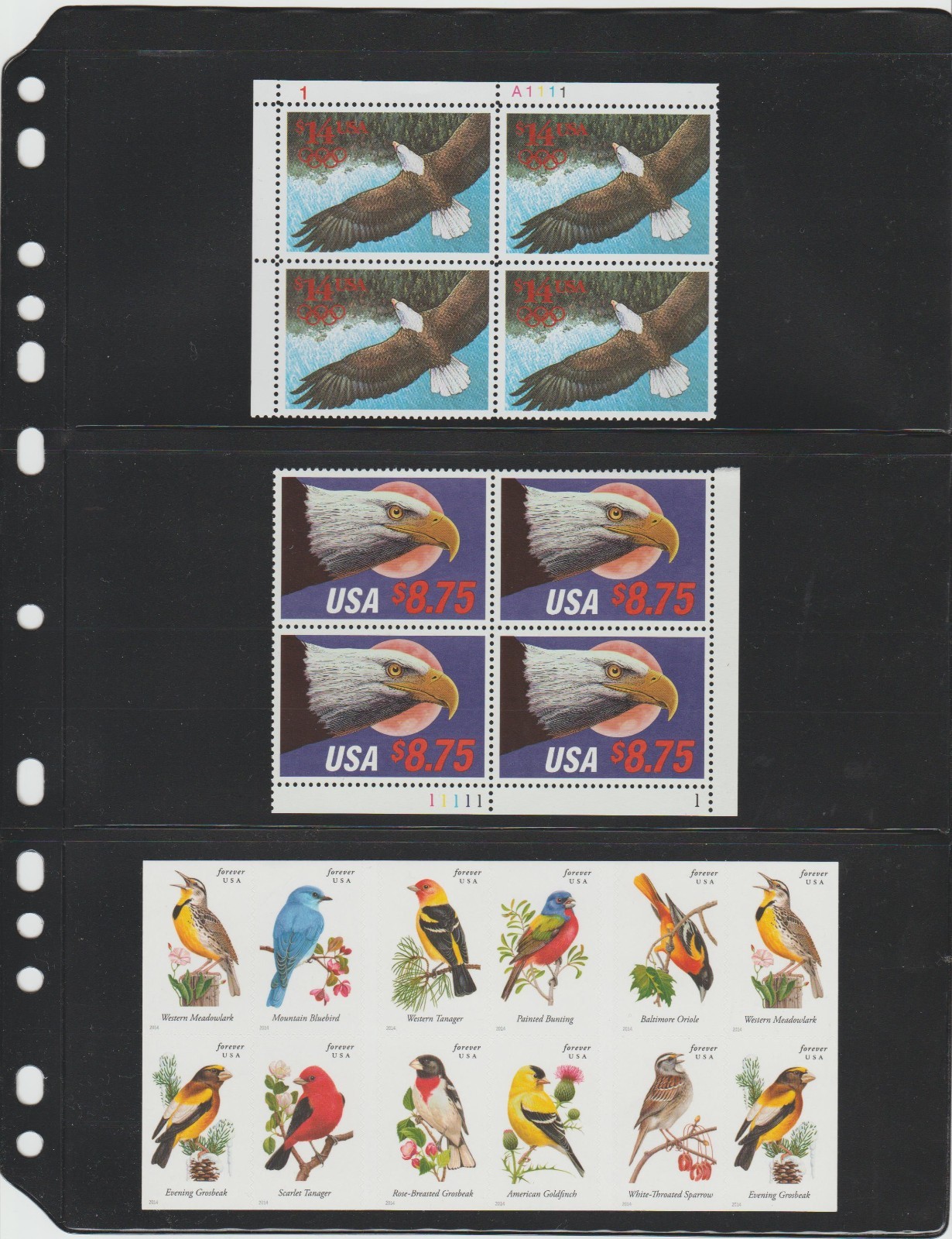 **ANCHOR 5 New Stock Pages 3S (3- rows) Sheets - (Black sheets) / Double Sided.