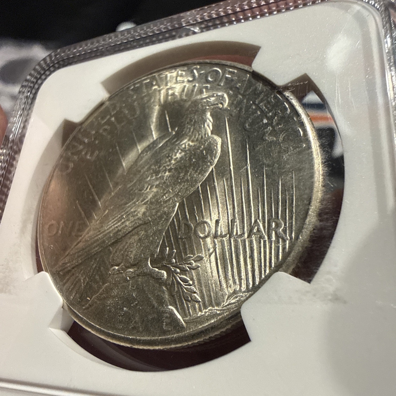 1926-S Peace Dollar NGC MS 62 ** Semi-Better Date San Francisco Issue!