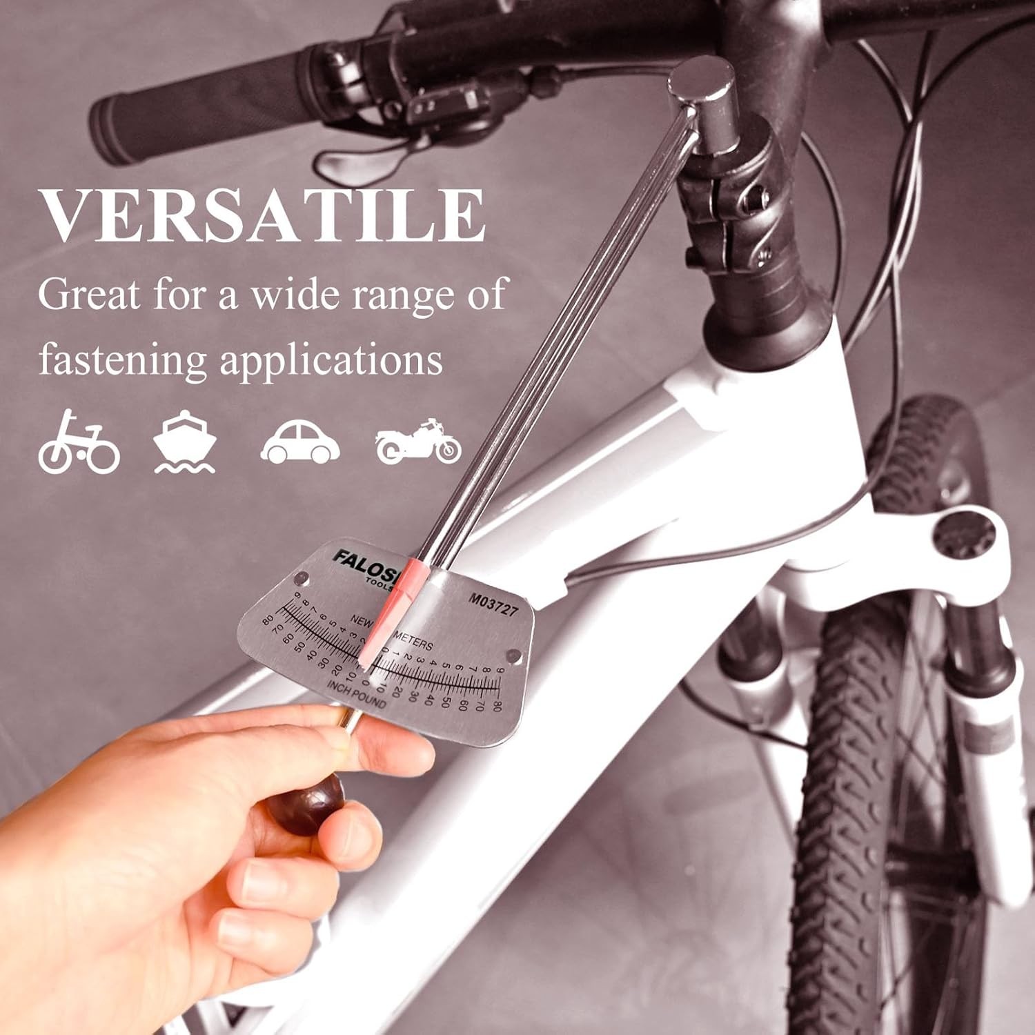 1/4-inch Drive Beam Torque Wrench - 0-80 Inch/Pounds and 0-9 Newton/Meter Torque